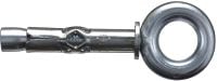 HLC-EC hylseanker Standard hylseanker (lukket øjebolt)